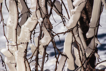 Closeup shot of ice hanging from branches on a snow-clad tree