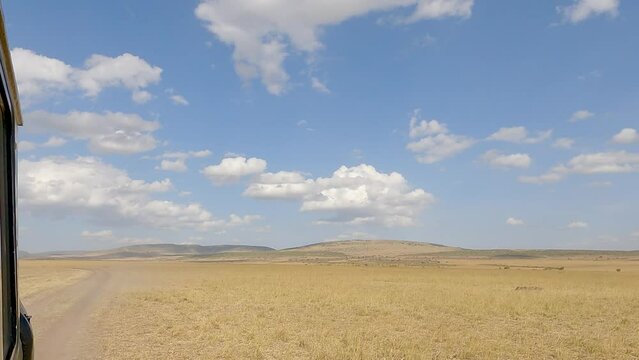 Safari Vehicle Driving Through Vast Game Drive In Maasai Mara, Kenya. POV