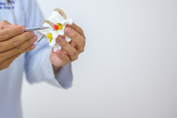 An orthopedic surgeon holds a spinal model as he demonstrates treatment methods for human spinal...