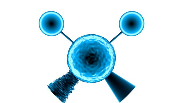Wagging vibration in infrared spectroscopy