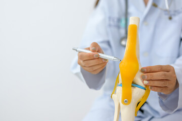 Close-up of therapist or orthopedic surgeon showing knee joint model during medical consultation...