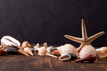 different kinds of shell, nature composition