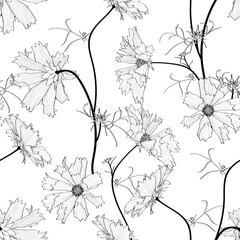 Seamless flower pattern background with Cosmos flower and leaf illustration.  For textile, wallpapers, print, greeting, web pages. - 718087193