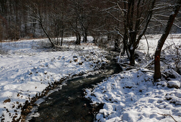 Winter landscape, small clean river flowing near frozen woods in the Carpathian mountains.