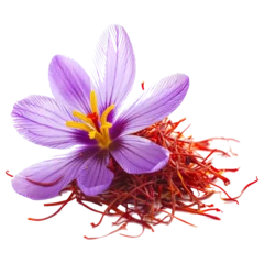 Fototapeten Saffron is a spice derived from the flower of Crocus sativus © Zaleman