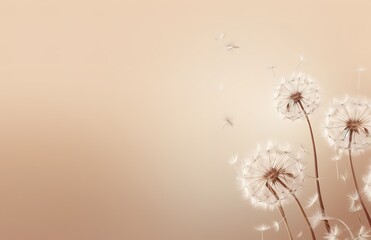 White dandelion flowers in the photo on a light brown background. generative AI