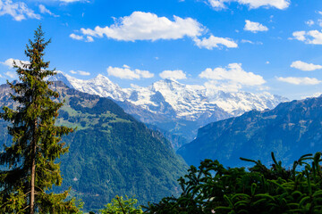 View of Bernese Alps from Harder Kulm viewpoint, Switzerland