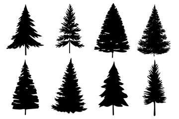 Black Christmas tree silhouette on the white background