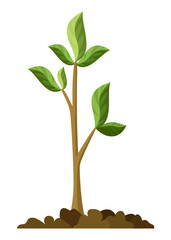 Fototapeta na wymiar Stage of tree growth. Small tree growth with green leaf and branches. Illustration of business cycle development
