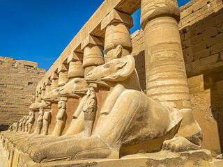 Karnak Temple is dedicated to the temple complex of Ancient Egypt. Thebes, Karnak, Luxor, Egypt