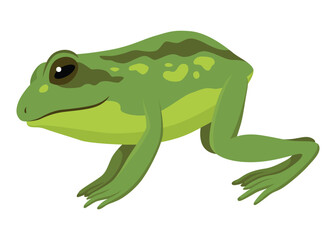 Frog jumping animation icon. Sequences or footage for motion design. Cartoon toad jumping, animal movement concept. Frog leap sequence, vector illustration