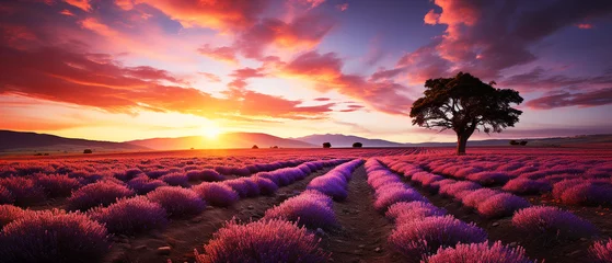 Poster Landscape with lavender field at sunrise © Inlovehem