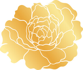 hand-drawn Chinese dragon and flower illustrations in luxurious golden hues