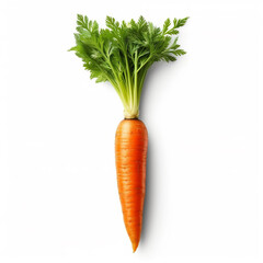 Carrot isolated on white background