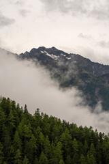 Clouds low in the valley over a forest in the mountains