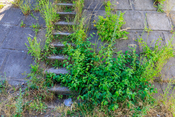 Old stone steps. Background with selective focus and copy space