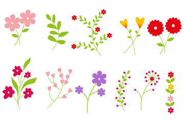 Romantic flower collection with flowers, twigs, leaves, herbs and berries. Vector design isolated on white background.