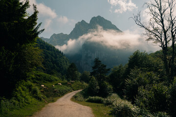 Low clouds in a valley in the French Pyrenees in France
