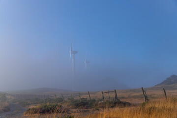 Landscape along the Camino de Santiago trail