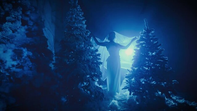 Art Fantasy woman snow queen dancing creating magic, white long shining glowing dress cape bird feathers ice crown. Fairy tale girl princess dark silhouette. Winter lady nature forest pine trees night