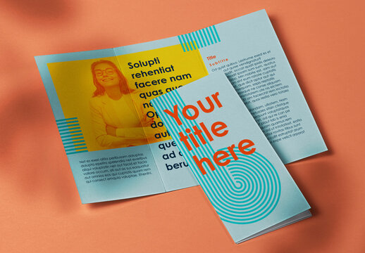 Tri-Fold Brochure Layout
