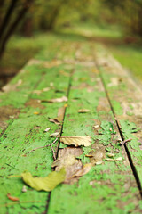 Autumn bright backdrop with arch of trees and old wooden table of boards with cracked green paint and yellow fallen leaves on it. Shabby grunge wood panels. Fall season concept in park.