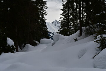 Schöne Winterlandschaft bei Seefeld in Tirol 