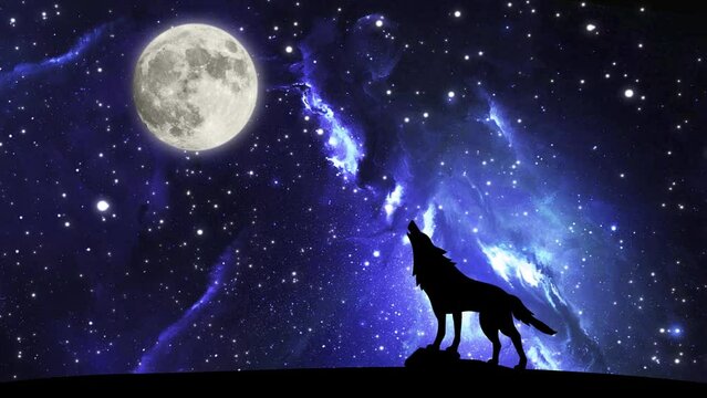 Silhouette of a wolf howling at the moon against a night sky with moving stars. Render contours of a lone predatory wolf, dark background. Looped seamless footage. High quality 4k footage
