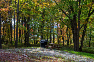 An empty campground spot in the fall colors