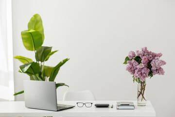 Business concept. Light work place of accountant at office with desk table, laptop, financial documents folder calculator, eyeglasses, smartphone, pen and big green houseplant. Copy space on wall
