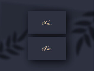 Nm logo design vector image