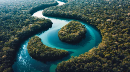 Foto auf Acrylglas Zanzibar Aerial View of Tropical Rainforest and River, Scenic Green Mangrove Landscape, Drone Shot of Nature and Travel
