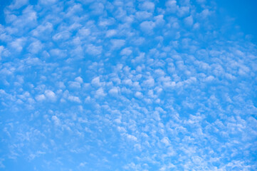 Blue tropical sky. Design element or background