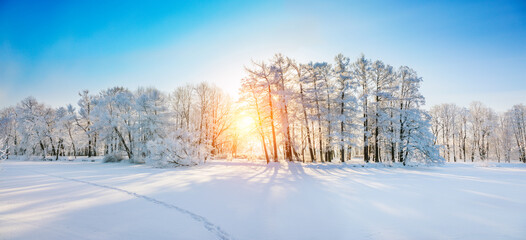 Panorama of beautiful winter park - 718157587