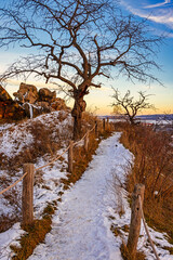 Teufelsmauer Harz bei Thale Neistedt im Winter
