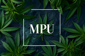 MPU und Cannabis: Ein illustrativer Hintergrund mit professionellem Design, perfekt für Darstellungen rund um die Medizinisch-Psychologische Untersuchung und den Einfluss von Cannabis im Verkehr