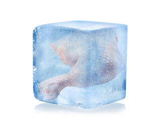 Frozen food. Raw chicken leg quarter in ice cube isolated on white