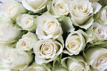 bouquet of white roses