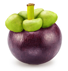 Mangosteen fruit on white background. File contains clipping path.