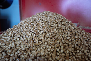 Pile of bio fuel pellets, close up view, selective focus