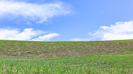 Farm Hillside Green Crops Blue Sky Landscape - 718173528