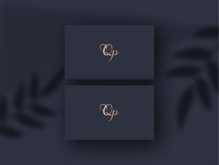 Qp logo design vector image