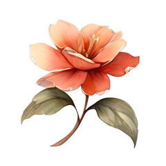 Watercolor flower clipart. Decoration for posters, greeting cards, birthdays, and wedding designs. Isolated on a transparent background. Generative AI.