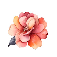 Obraz na płótnie Canvas Watercolor flower clipart. Decoration for posters, greeting cards, birthdays, and wedding designs. Isolated on a transparent background. Generative AI.