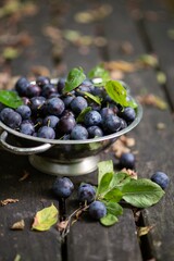 Still-life. Ripe plums on the table.