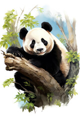 Obraz premium funny panda bear31