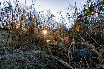 Beautiful winter sunrise in northern Germany