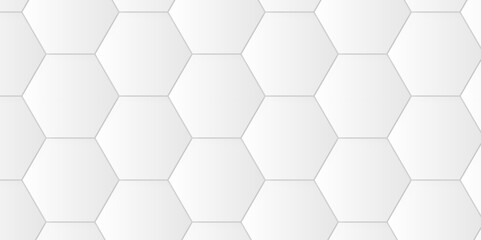 Abstract 3d background with hexagons pattern with hexagonal white and gray technology line paper background. Hexagonal vector grid tile and mosaic structure mess cell. white and gray hexagon.