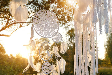 Magic dream catchers hanging on tree in garden, abstract natural sunny background. ethnic Shaman...