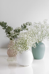  Gypsophila in vase. Three vases with flowers. Eucalyptus. Card. Photo